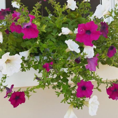 Marios Villas Poros  ภายนอก รูปภาพ